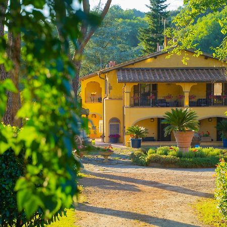 Villa Poggio Di Gaville Meleto ภายนอก รูปภาพ