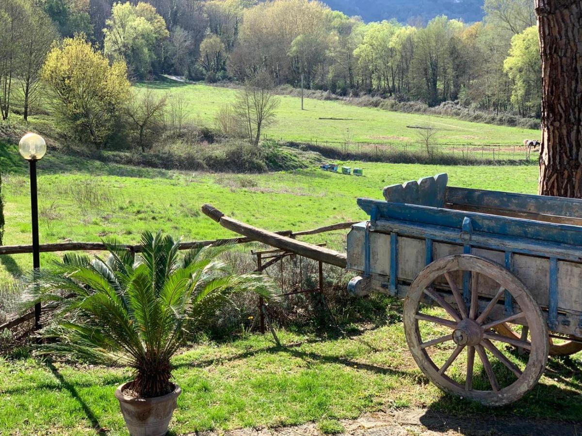 Villa Poggio Di Gaville Meleto ภายนอก รูปภาพ